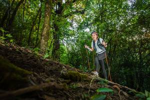 BIB: 
                            <button type="button" onclick="openModal(16015994)" class="btn btn-primary btn-sm float-right btn-popup" data-toggle="modal" data-target=".modal-high-quality">
                        <i class="fas fa-shopping-cart"></i> Add to Cart
                    </button>
                                            <button type="button" onclick="isThisMe(16015994, true)" class="btn btn-success btn-sm float-right btn-popup btn-isme hidden" data-toggle="tooltip" data-placement="bottom" title="นี่คือรูปของคุณใช่ไหม คลิกที่นี่เพื่อเอาเข้าอัลบั้ม">
                        <i class="fas fa-plus"></i> Add to album
                    </button>
                    <button type="button" onclick="isThisMe(16015994, false)" class="btn btn-warning btn-sm float-right btn-popup btn-isnotme hidden">
                        <i class="fas fa-ban"></i> Remove from album
                    </button>